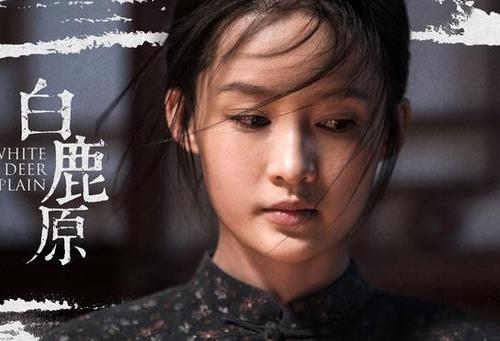 白鹿原田小娥最终结局?(白鹿原剧情介绍田小娥)