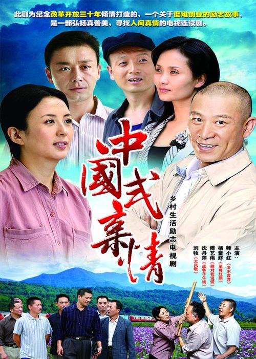 想知道有哪些电视剧是关于亲情的比如父子兄弟的？（中国式亲情电视剧剧情介绍）