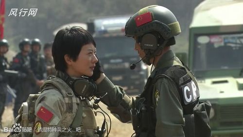 火凤凰分配职务第几集？（特种兵之火凤凰剧情分集介绍）