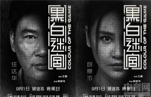 黑白迷宫结局?(黑白迷宫剧情介绍)
