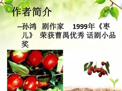 九年级枣儿课文内容概括?(山村姑娘剧情介绍)