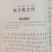 尼尔斯在岩石岛的故事梗概?(迷失的岛屿剧情介绍)