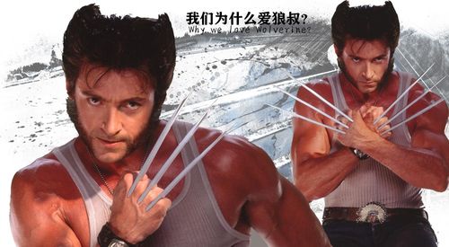 金刚狼1结局?(金刚狼1剧情详细介绍)