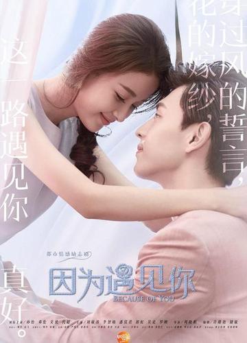 因为遇见你电视剧1-40全集？（因为遇见你全剧情介绍）