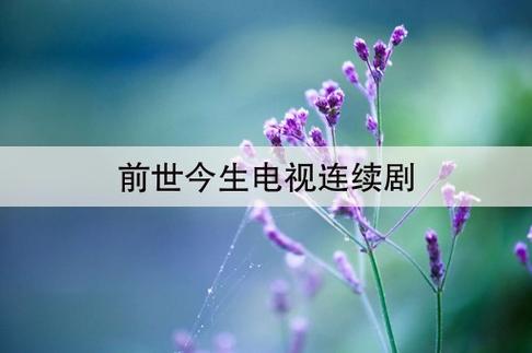 前世今生段小玉结局?(前世今生分集剧情介绍)