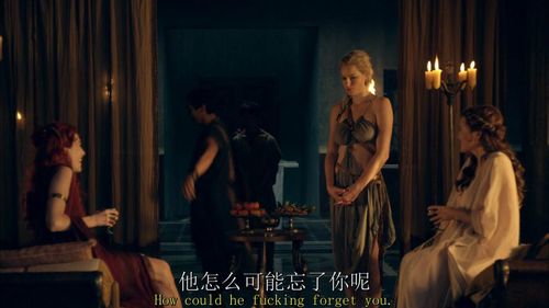 斯巴达克斯前传好看吗?(斯巴达克斯前传剧情介绍)
