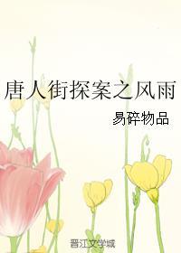 小水牛夜巴黎歌词?(风雨唐人街剧情介绍)