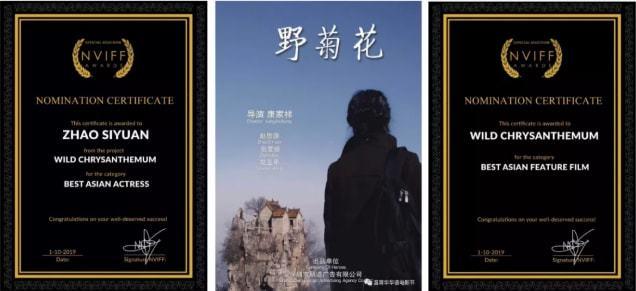 恰似你的温柔相近的昵称？（野菊花电影剧情介绍）
