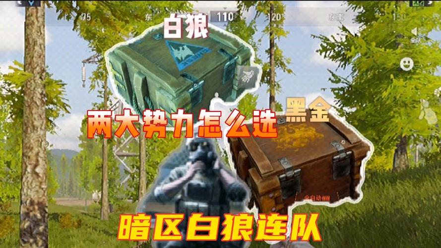 暗区突围白狼属于北方军吗?(电视剧白狼剧情介绍)