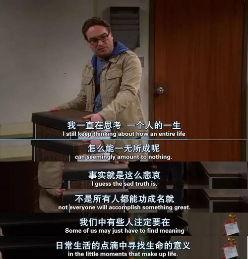 求生活大爆炸中，饰演莱纳德妈妈的演员的名字和资料。谢谢？（傲骨贤妻第三季剧情介绍）