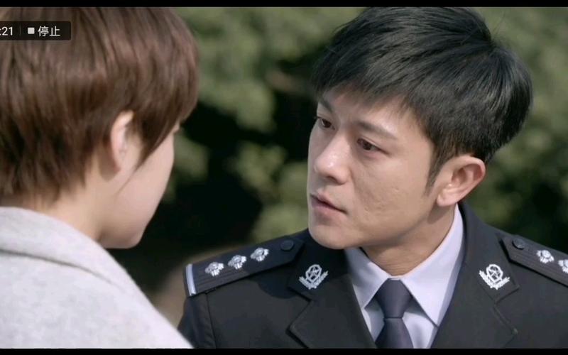 江城警事郑如心结局?(江城警察剧情介绍)
