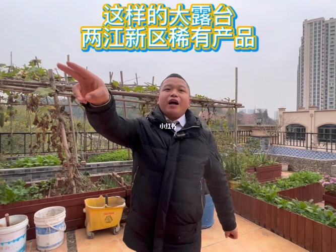 主角获得一个宝塔可以在里面种菜养鱼，然后开始还在电视台对面开了一个卖菜卖鱼的店而且卖很贵？（意外空间剧情介绍）