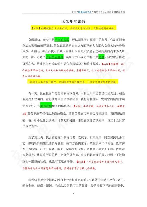 金步甲的婚俗概括30字？（特设新娘剧情介绍）