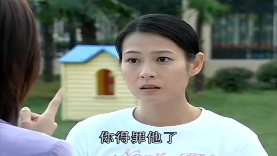 粉红女郎阿呆的扮演者?(清宫风云剧情介绍)