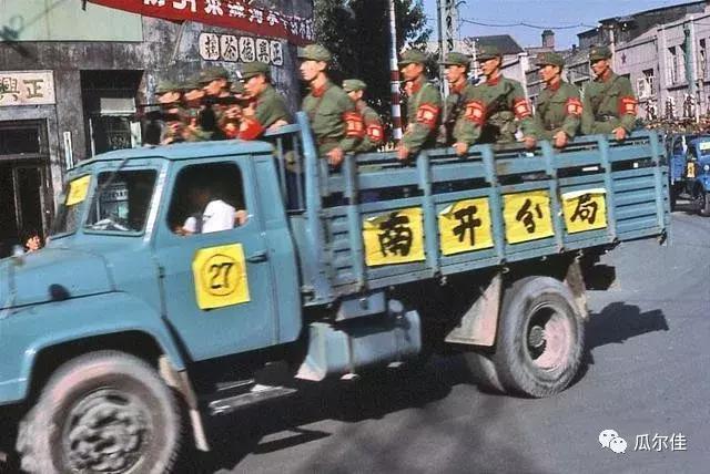 83年大逮捕是怎么回事?(大扑剧情介绍)