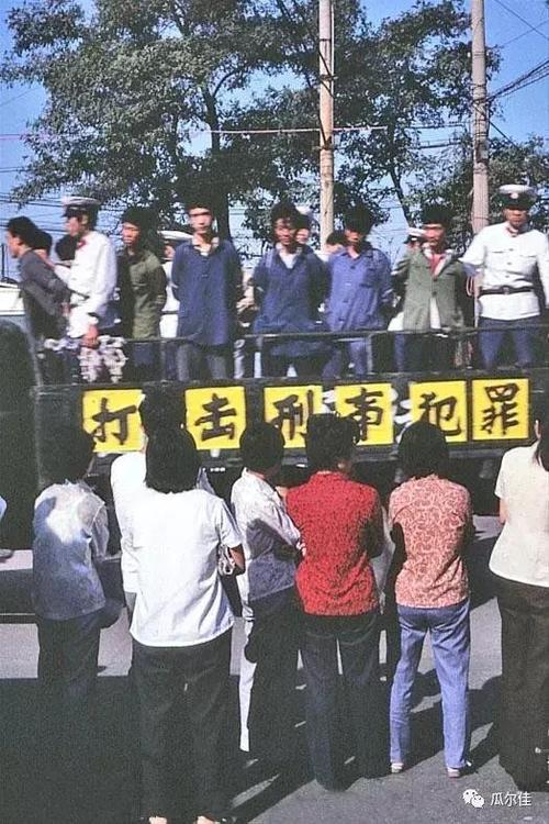 83年大逮捕是怎么回事？（大扑剧情介绍）
