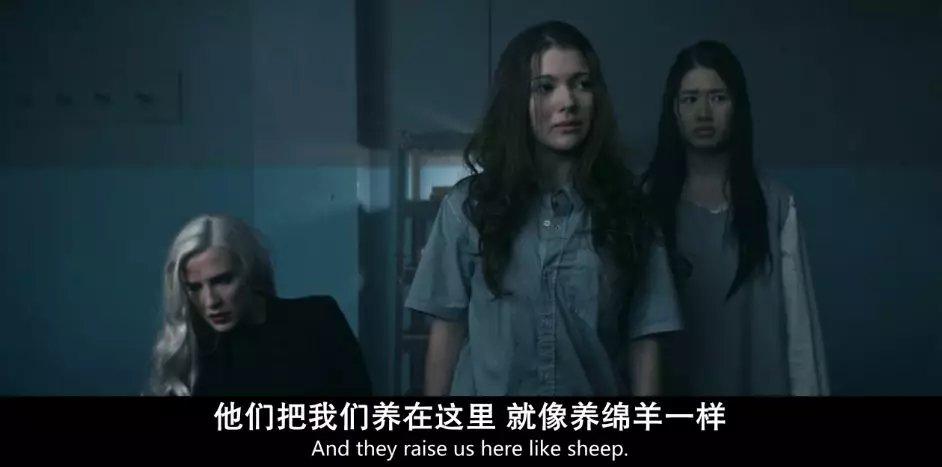 电影<<旺角监狱>>到底讲述的是一个什么样的故事?(监禁姐妹教师剧情介绍)