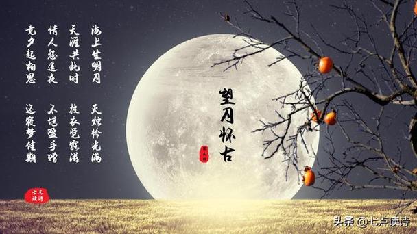 天涯明月共此时什么意思?(天涯共此时剧情介绍)