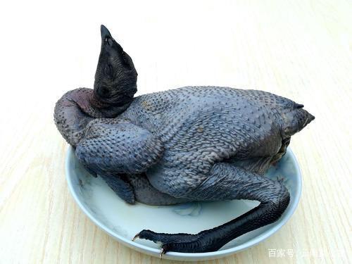 鬼鸡为什么叫鬼鸡?(恐怖鸡2剧情介绍)