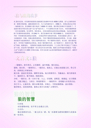 《喋血北方狼》大致内容？（喋血英雄分集剧情介绍）
