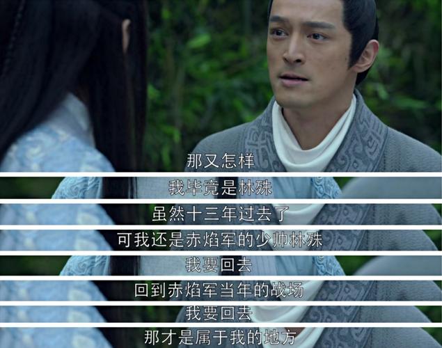 琅琊榜大结局解说?(琅琊榜大结局剧情介绍)