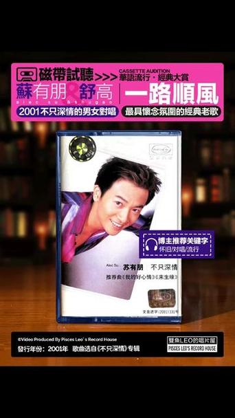 苏有朋和舒高合唱的《一路顺风》mtv里的女主角是谁？（丑女也疯狂电剧情介绍）