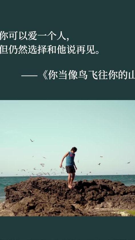 爱怀疑和爱飞翔的鸟是什么意思？（电影让爱飞翔剧情介绍）