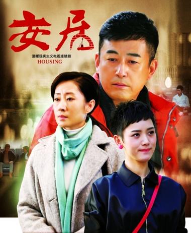 李怀玉挂帅剧情介绍？（电视剧安居剧情介绍）
