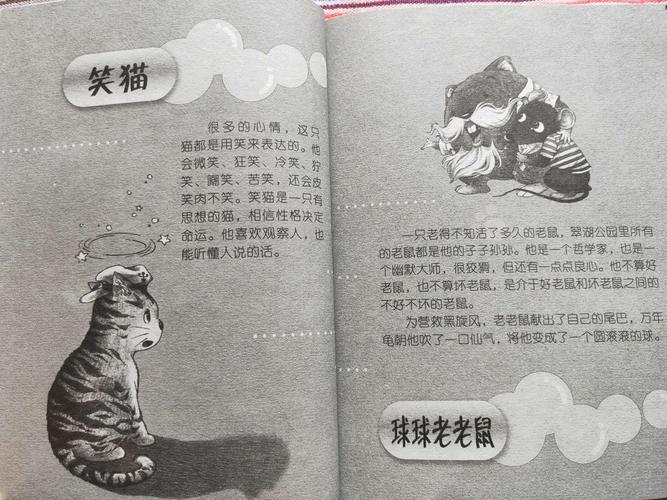 笑猫日记中哪一本最好看，为什么？（漂亮女人日记剧情介绍）