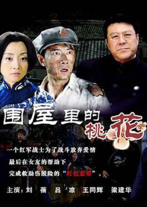 围屋里的桃花生孩子是哪集?(围屋的桃花剧情介绍)