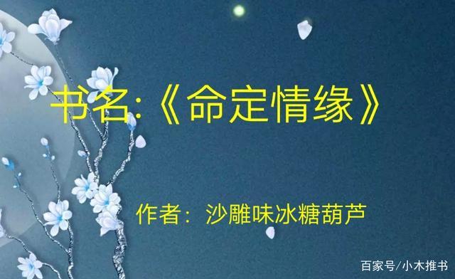 女主叫苏芩男主叫陆津泽的小说?(温柔劫四集剧情介绍)