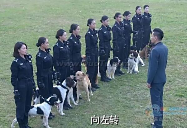警花与警犬第几集被狗贩子抓走?(警花与警犬剧情介绍电视猫)