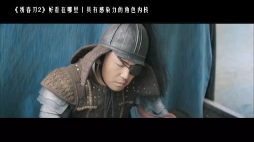 绣春刀2裴纶结局是什么死没有谁演的沈炼为何不过桥在砍断?(电影绣春刀2剧情介绍)