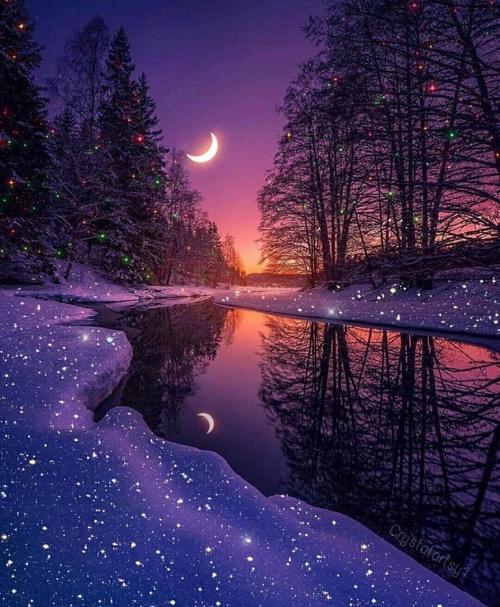 什么的夜？（梦幻般的夜晚剧情介绍）
