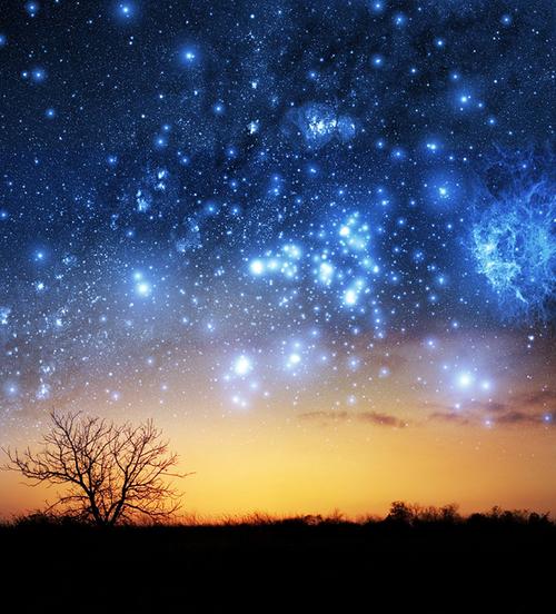 什么的夜?(梦幻般的夜晚剧情介绍)