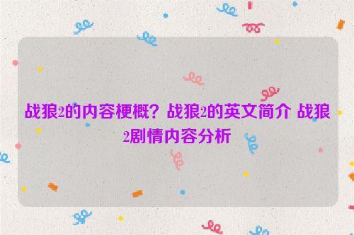 战狼2影片介绍英语作文?(战狼2英文剧情介绍)
