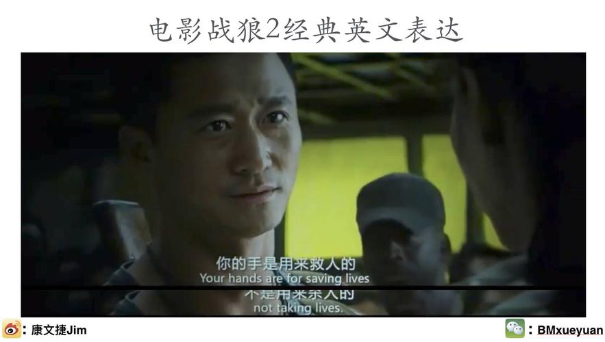 战狼2影片介绍英语作文?(战狼2英文剧情介绍)