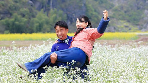 油菜花香福禄咋死的?(油菜花香剧情分集介绍)