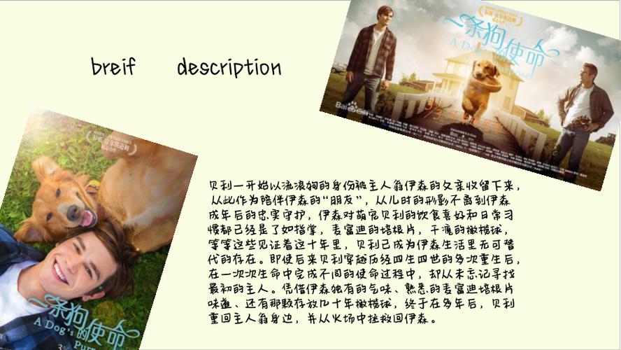 一条狗的使命明白了什么？（一条狗的使命剧情介绍）