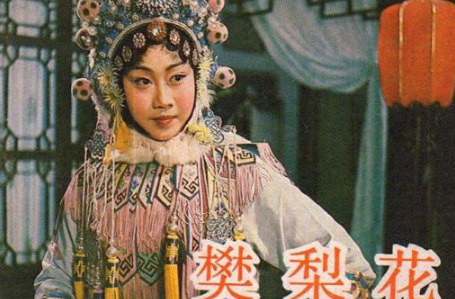 樊梨花归唐剧情?(归剧情介绍)