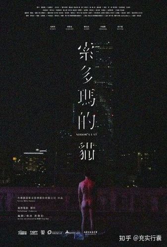索多玛猫剧情介绍？（猫剧情介绍全集）
