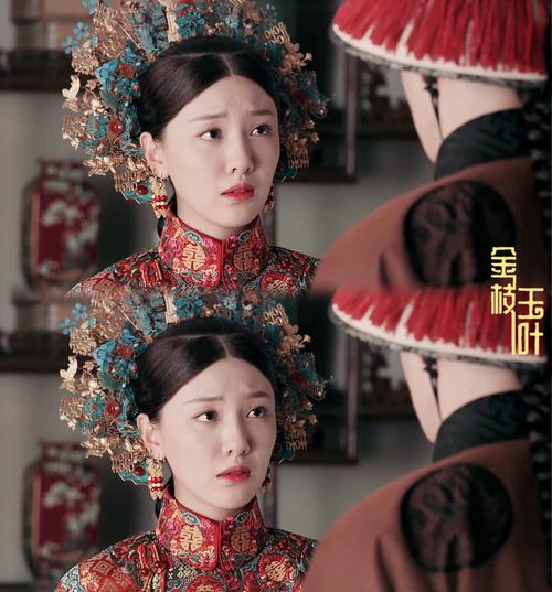 延禧攻略之金枝玉叶剧情?(延禧攻剧情介绍)
