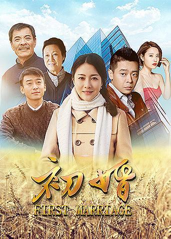 初婚电视剧全集讲解？（电视剧初婚分集剧情介绍）