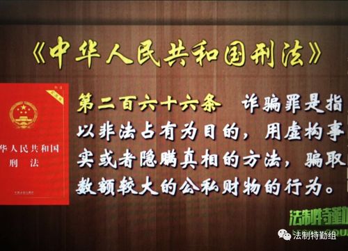 刑法中加罪是啥?(罪剧情介绍)