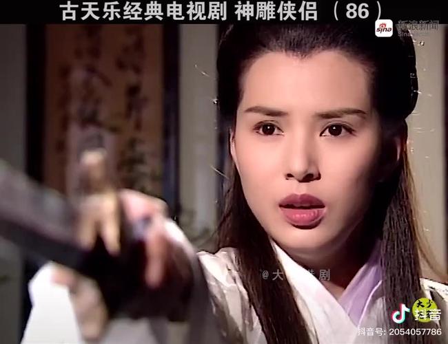 神雕侠侣龙骑士剧情?(神雕侠侣 剧情介绍)