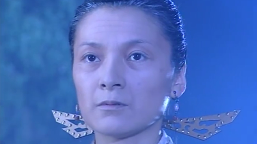 暴走金花婆婆剧情?(婆婆剧情介绍)