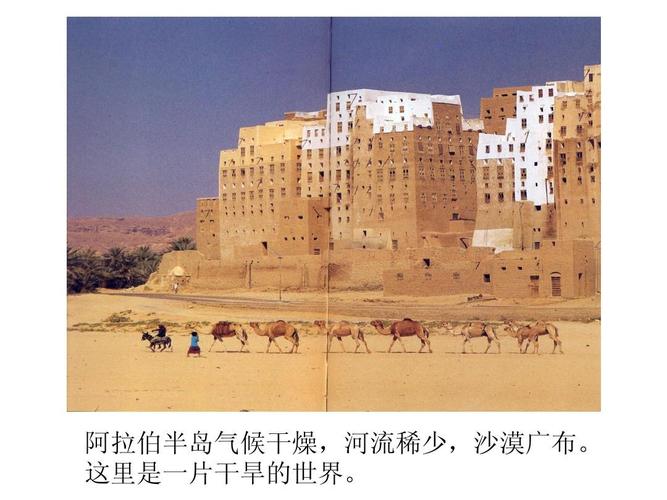 很多年前看过的一本台言，剧情大致:男主是中东或者阿拉伯的，女主是台湾的？（台湾剧情介绍）