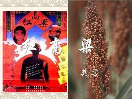 小说红高粱故事情节?(红高粱 剧情介绍)