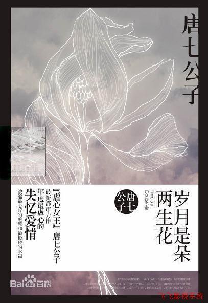 岁月是朵两生花内容是什么?(两生花 剧情介绍)