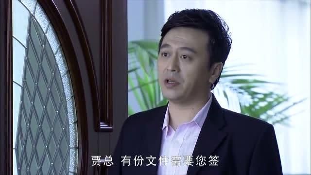谎言的背后贾总大结局?(电视剧的谎言剧情介绍)